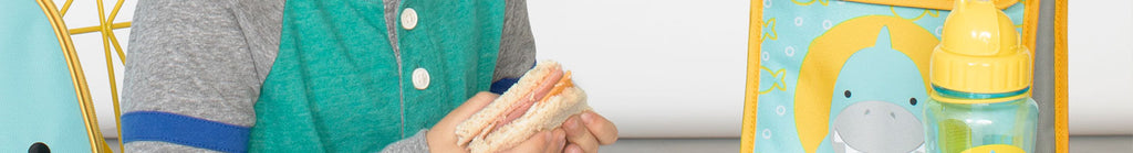 skip hop on the go