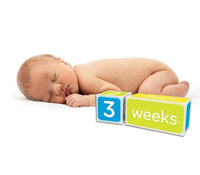 Pearhead - Blue Age Block Set-The Stork Nest